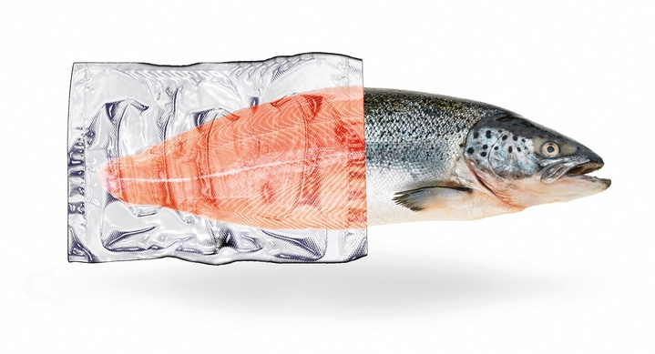 Salmon fillet in packaging and whole fish, isolated on white background