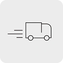 Lieferung Icon