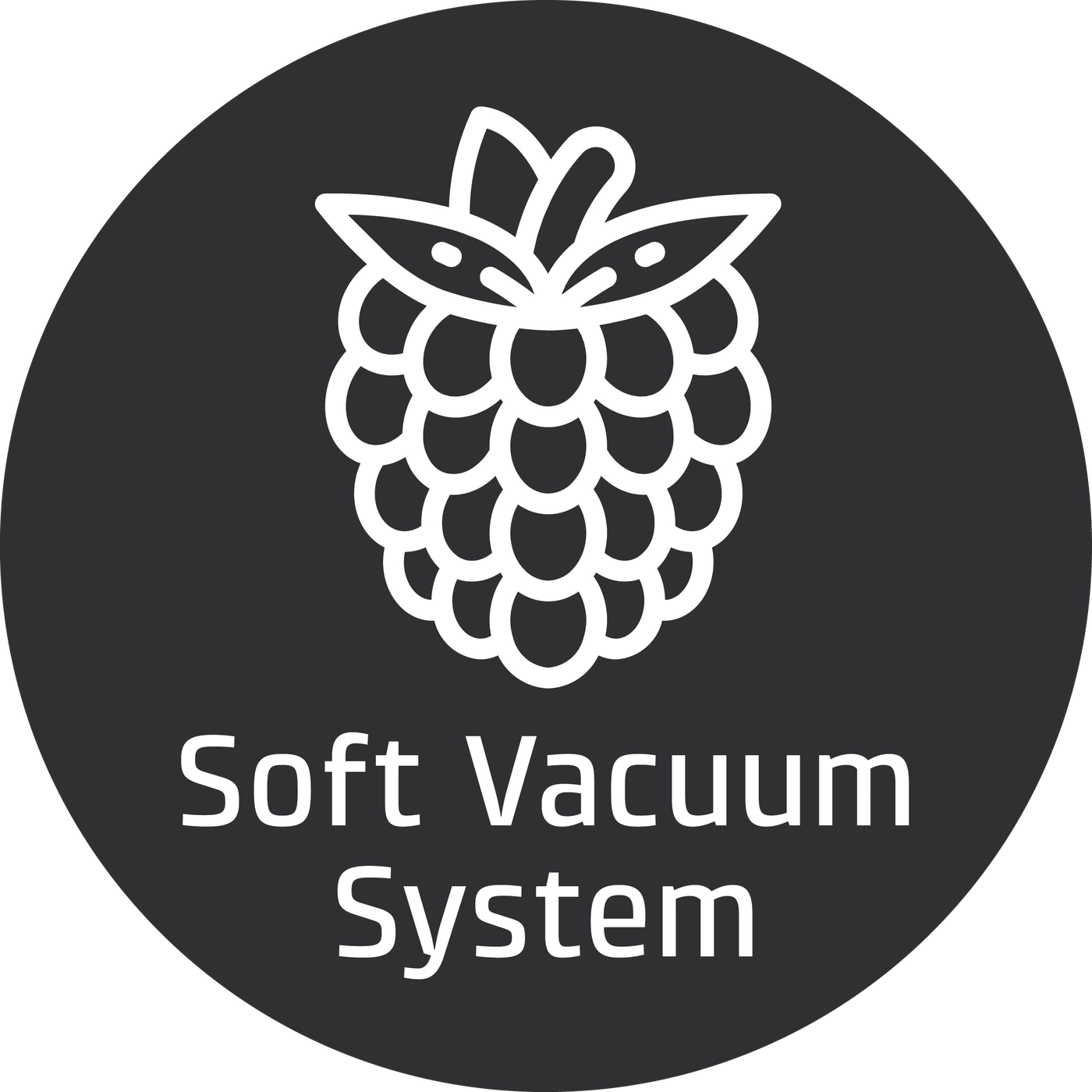 Image of a raspberry with the text 'Soft Vacuum System' on a black background