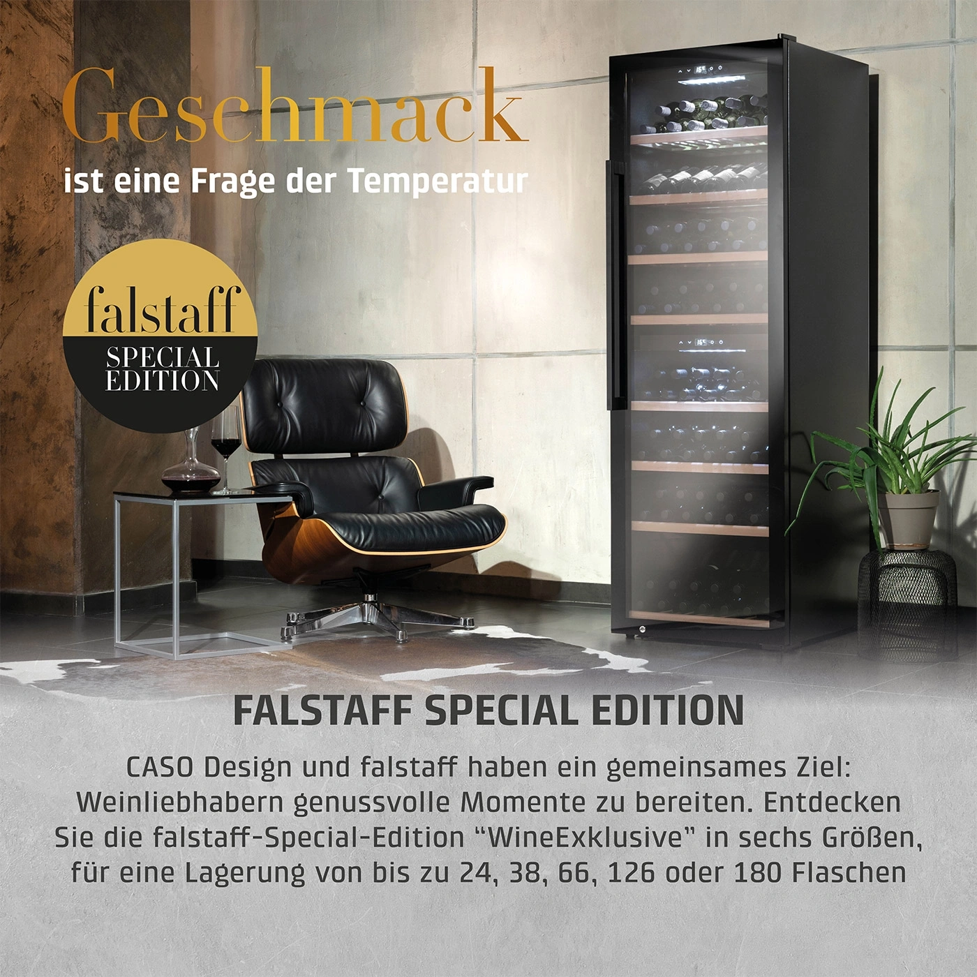 Weinregal mit Text, Stuhl und Pflanze. Falstaff Special Edition.