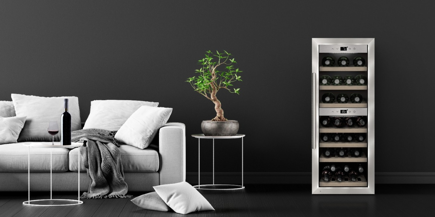 Living room with sofa, wine cooler, bonsai, table and wine bottle