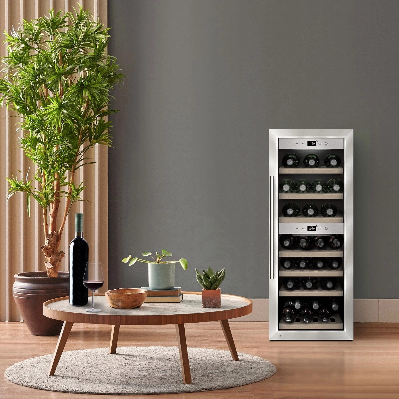 Weinregal, Tisch, Pflanzen, Flasche, Glas, Teppich, Topf, Dekoration, Innenraum, modern