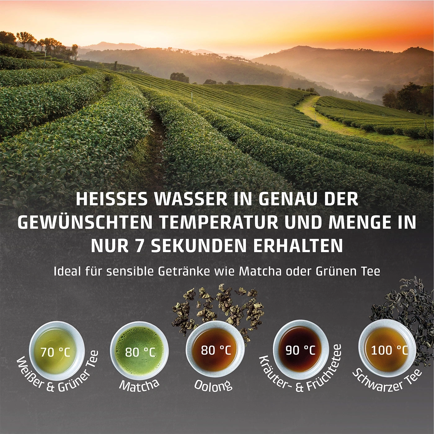 Teezubereitung: Heißes Wasser in 7 Sekunden, verschiedene Teesorten mit Temperaturangaben.