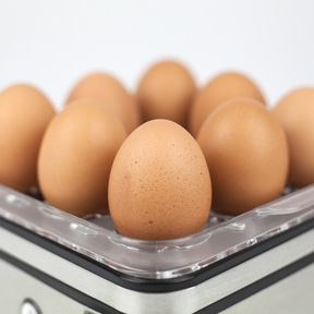 E9 Electronic Egg Boiler