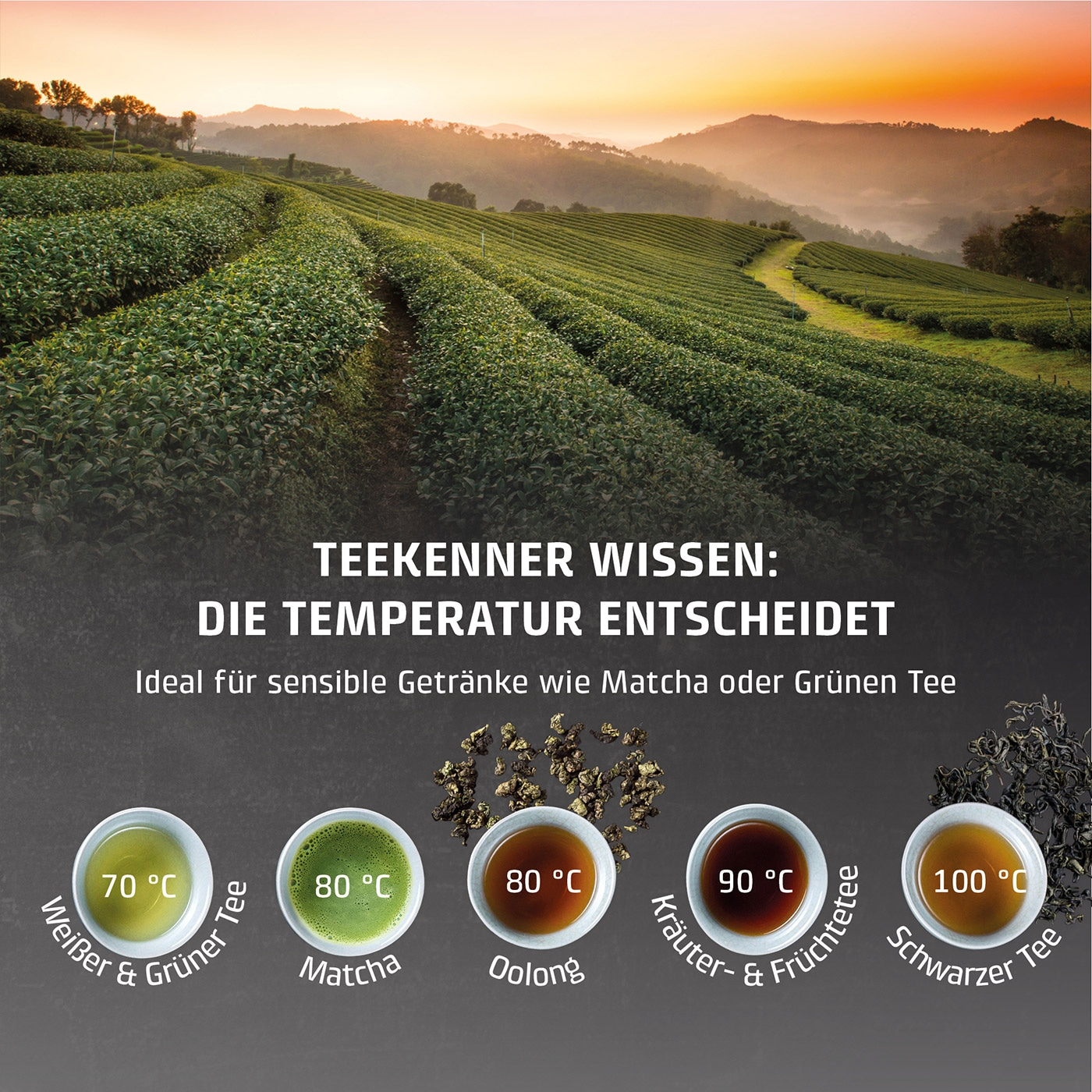 HW 660 Turbo Heißwasserspender