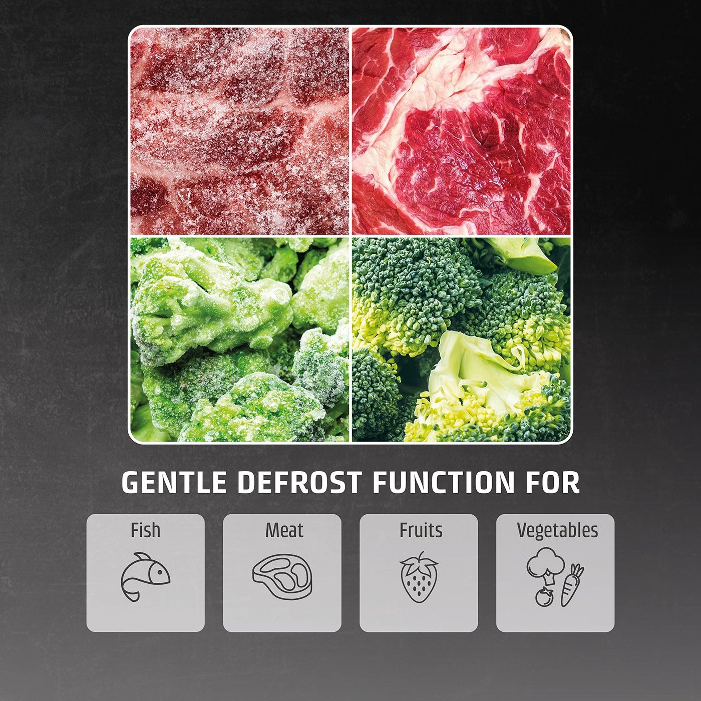 Defrost function for fish, meat, fruit and vegetables. Frozen food images.