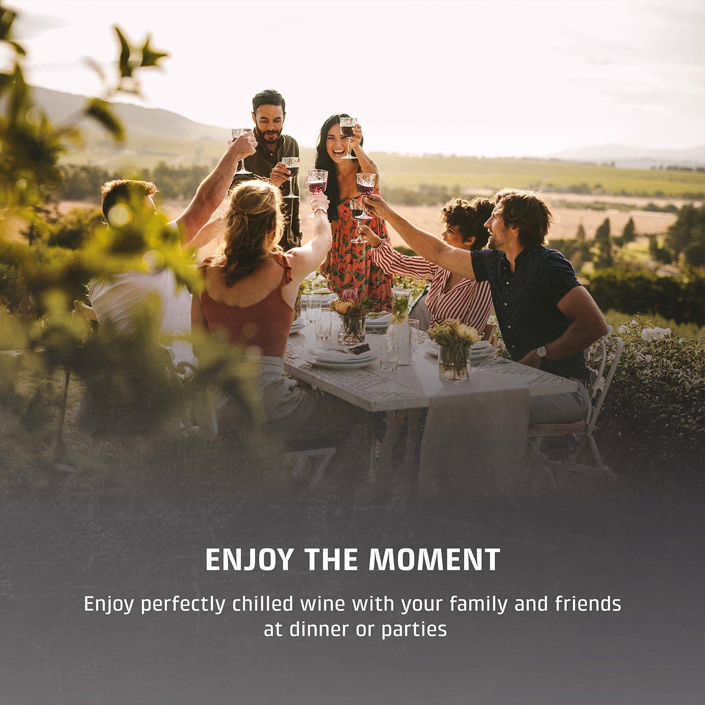 Friends toasting with wine, enjoyment is trend, wine tasting, CASO Design wine cooler