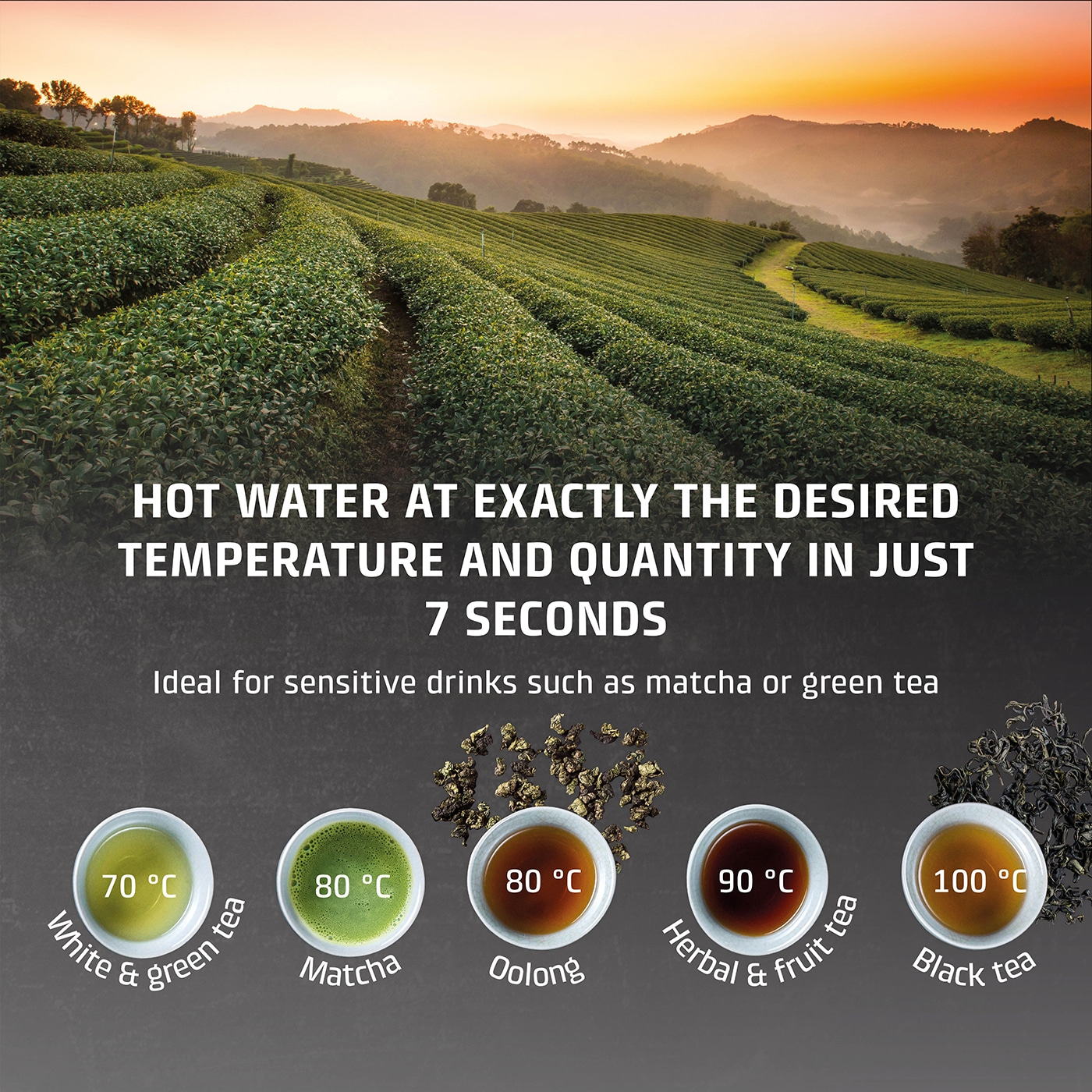 Tea preparation: Hot water in 7 seconds, various tea types with temperature indications.