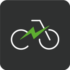 Business E-Bike