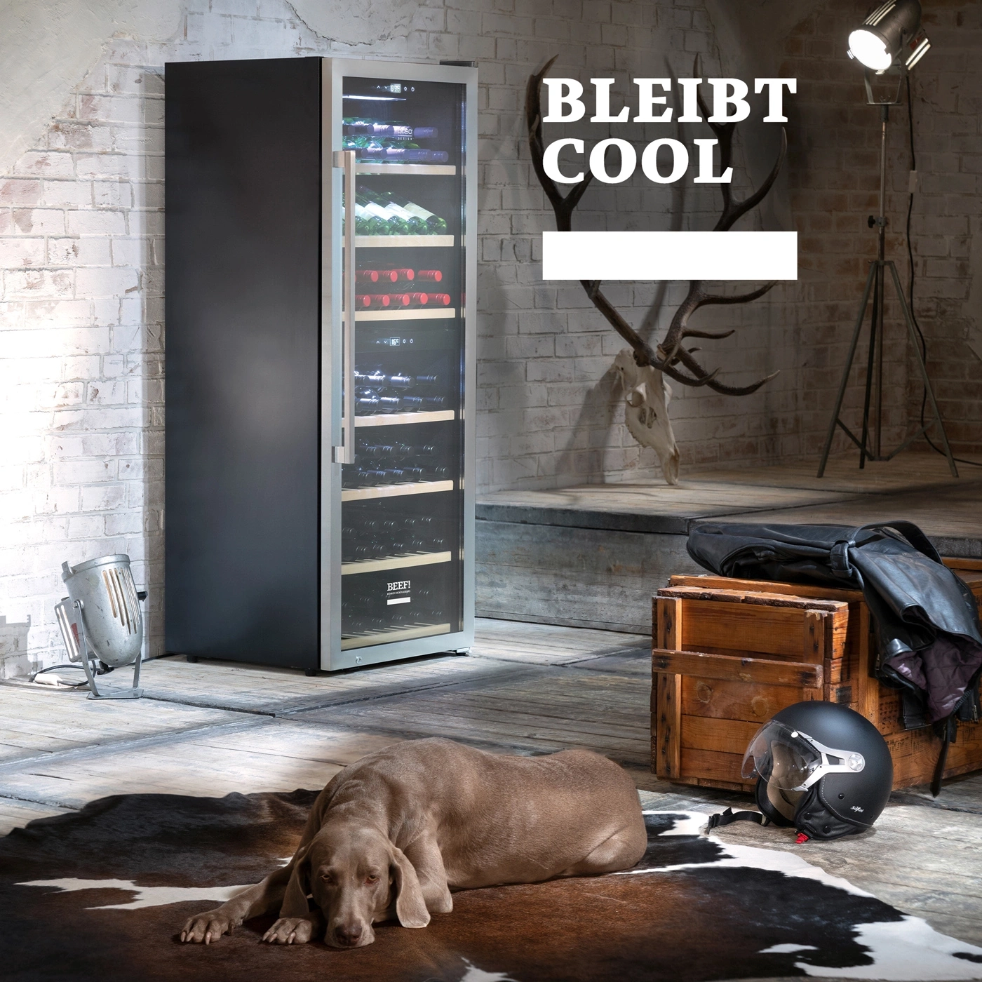 Weinkühlschrank, Hund, Helm, Lederjacke, Hirschgeweih, cooler Look, Holzbox, cooler Raum