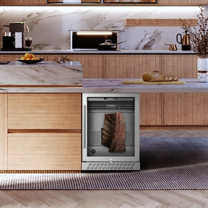 DryAged Master 125 Maturing cabinet with compressor technology