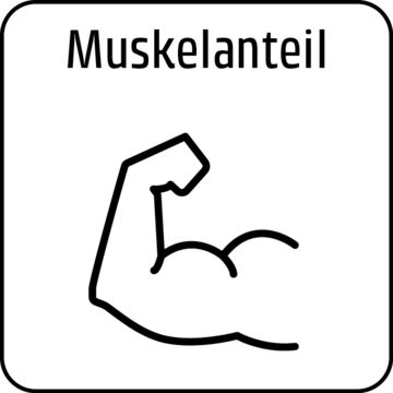 Muskelanteil_Icon