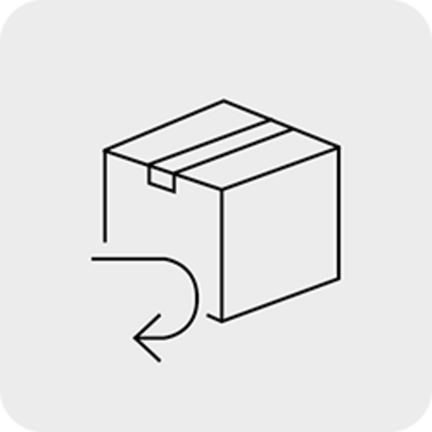 Lieferung Icon