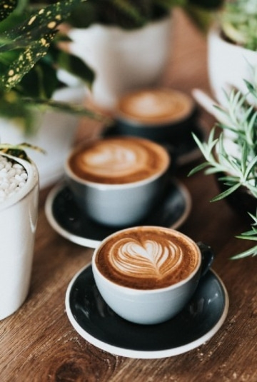 Kaffeetassen mit Latte Art auf einem Holztisch mit Pflanzen im Hintergrund.