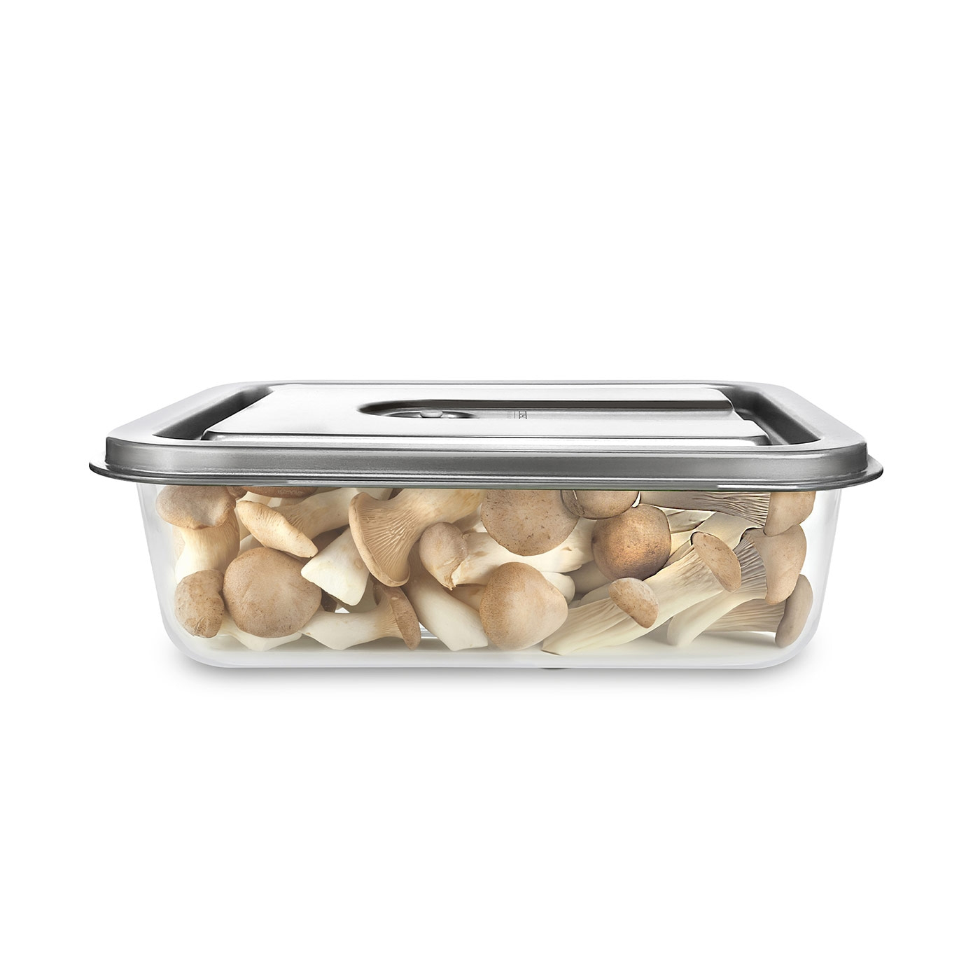 A rectangular container with mushrooms, metal lid, transparent glass, isolated