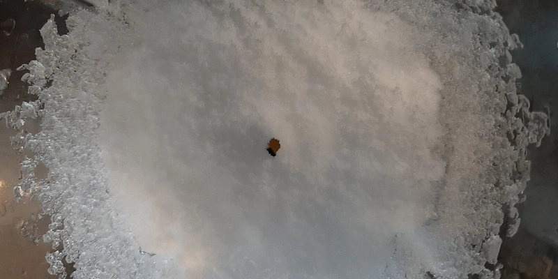 Schnee mit einem Blatt in der Mitte, umgeben von Eisstrukturen und Reflexionen