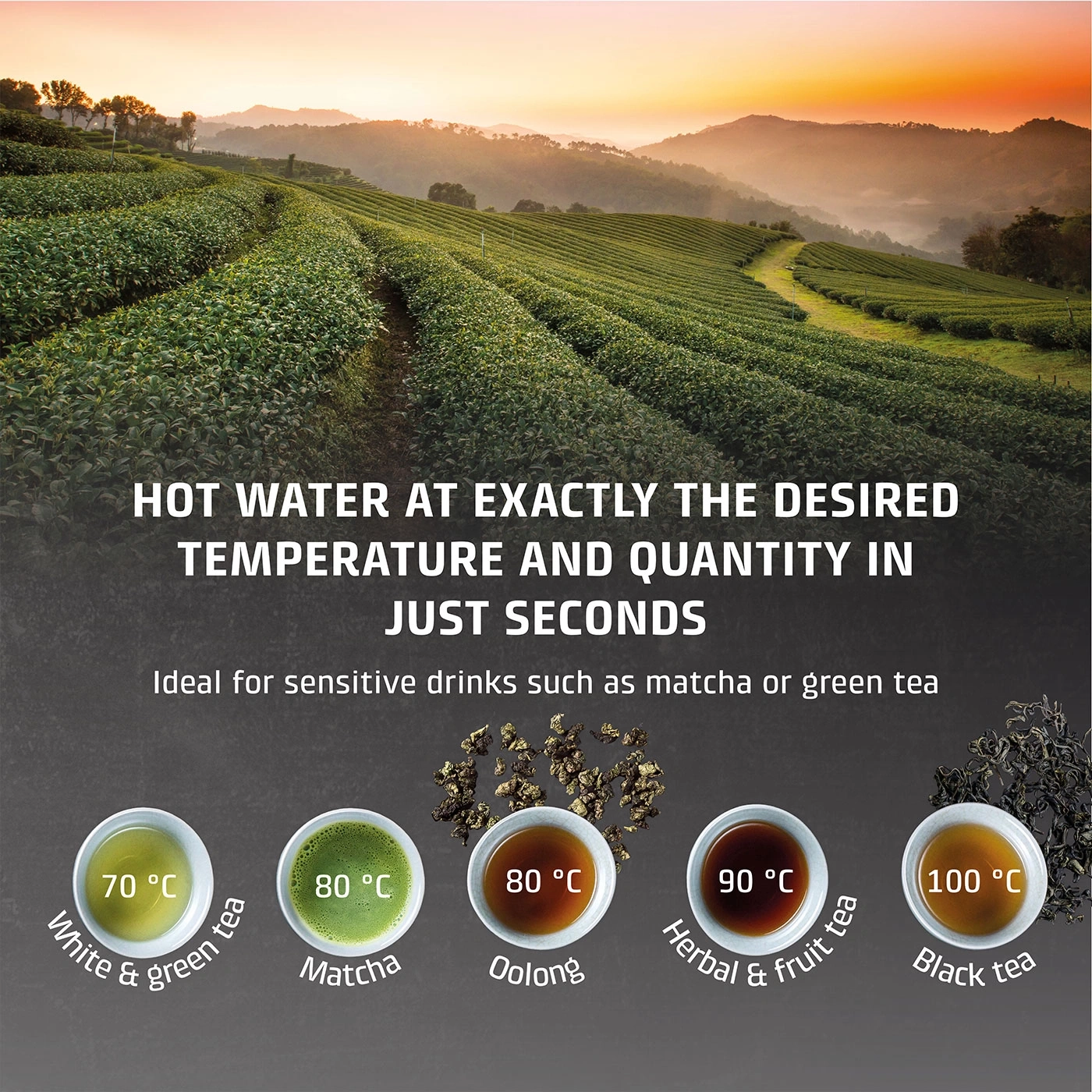 Tea preparation: Hot water for different tea types with temperature indications.