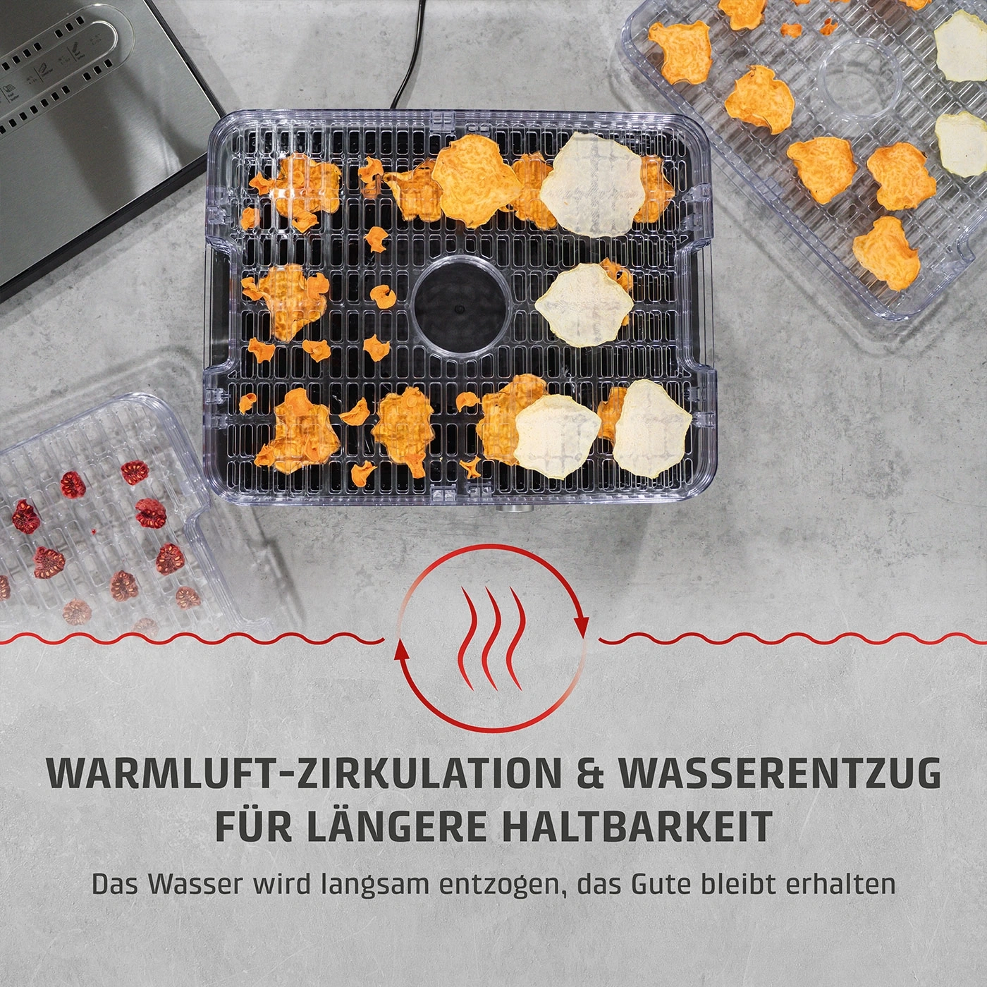 Lebensmittel-Trockner mit Gemüse und Text über Luftzirkulation und Haltbarkeit.