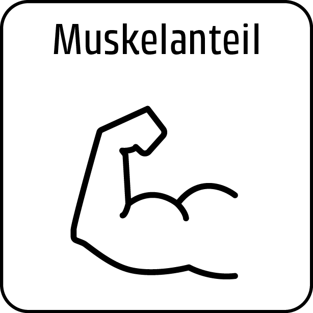 Muskelanteil Symbol mit Arm-Illustration, Fitness-Konzept, Stärke