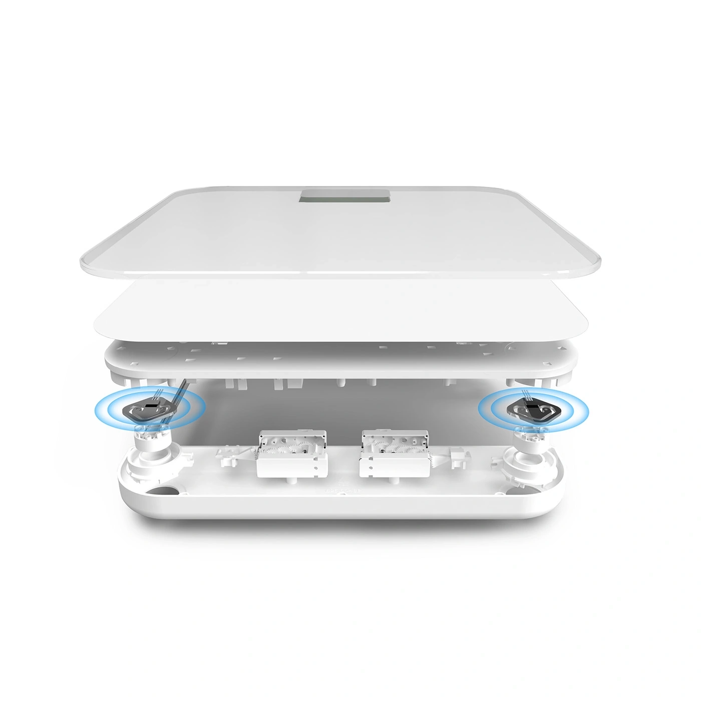 Disassembled scale showing internal components, white design, isolated