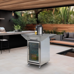 BeerMaster Beer Dispenser