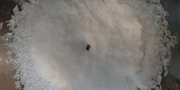 Schnee mit einem Blatt in der Mitte, umgeben von Eisstrukturen und Reflexionen