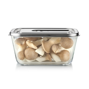 VacuBoxx Inox 2.6 Vakuum-Frischebehälter