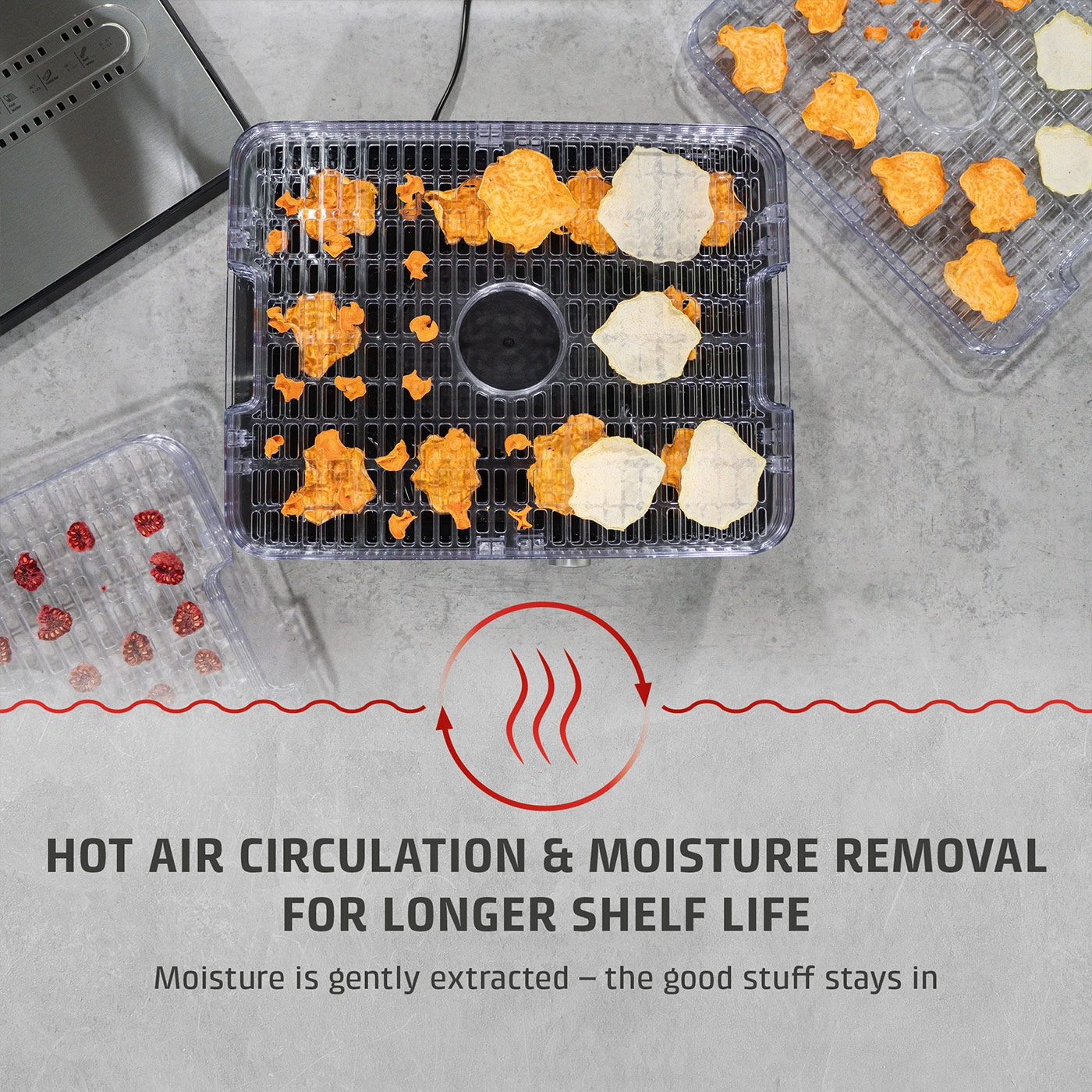 Food dehydrator with vegetables and text about air circulation and durability.