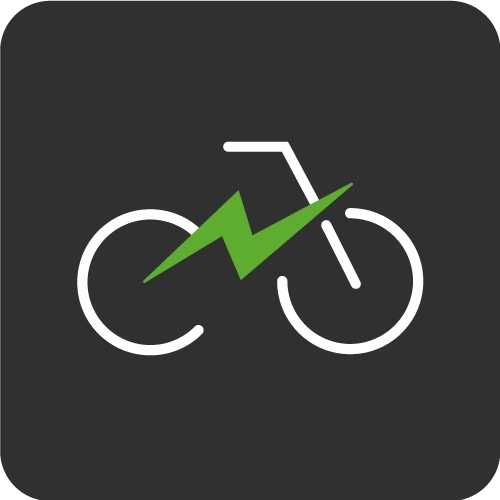 Business E-Bike