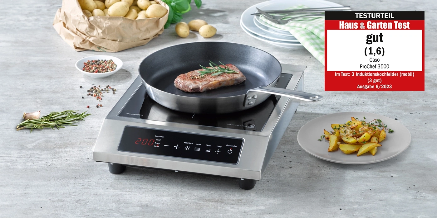 Induction cooktop with steak and fried potatoes, test result good