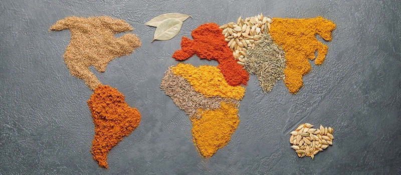 World map made of spices on gray background, culinary concept, food art