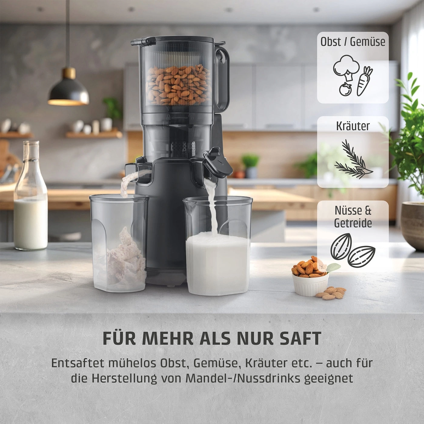 Ein Entsafter macht Mandelmilch aus Nüssen und Getreide.