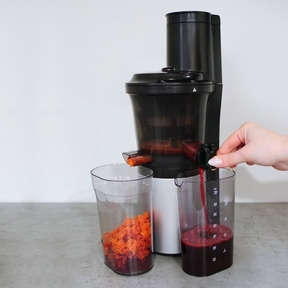 SJW 300 Design Slow Juicer