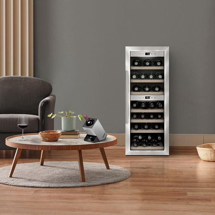 Wine cooler, table, chair, glass, plant, bottle, basket, living room, modern